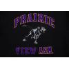 Pro Standard NCAA mens Mens College Classic Chenille Brushed Back French Terry Pull Over Hoodie(Black/Purple)