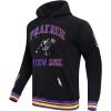 Pro Standard NCAA mens Mens College Classic Chenille Brushed Back French Terry Pull Over Hoodie(Black/Purple)