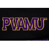 Pro Standard NCAA mens Mens College Classic Chenille Brushed Back French Terry Pull Over Hoodie(Black/Purple)
