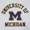 Pro Standard NCAA mens Mens College Classic Chenille Brushed Back French Terry Pull Over Hoodie(Heather Grey/Midnight Navy)