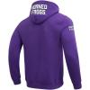 Pro Standard NCAA mens Mens College Classic Chenille Brushed Back French Terry Pull Over Hoodie(Purple)