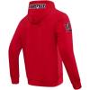 Pro Standard NCAA mens Mens College Classic Chenille Brushed Back French Terry Pull Over Hoodie(Red)