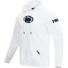 Pro Standard NCAA mens Mens College Classic Chenille Brushed Back French Terry Pull Over Hoodie(White)