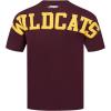 Pro Standard NCAA Mens Mens College Wingspan Cotton Short Sleeve Tee(Wine)
