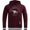 Pro Standard NCAA mens Mens College Classic Chenille Brushed Back French Terry Pull Over Hoodie(Wine)