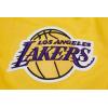 Pro Standard Mens NBA Classic Chenille Cotton Double Knit Full Zip Hoodie(Yellow)