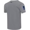 Pro Standard Mens Pro Standard Mens College Classic Chenille Short Sleeve Tee(Gray)