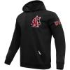 Pro Standard NCAA mens Pro Standard Mens Classic Chenille Cotton Double Knit Pull Over Hoodie(Black)