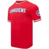 Pro Standard NHL Mens Pro Standard Mens NHL Classic Chenille Cotton Double Knit Short Sleeve Tee(Red)