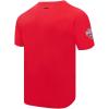Pro Standard NHL Mens Pro Standard Mens NHL Classic Chenille Short Sleeve Tee(Red)