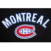Pro Standard NHL womens Womens Nhl Classic Chenille Brushed Back French Terry Pull Over Hoodie(Black)