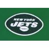 Pro Standard Womens NFL Classic Chenille Brushed Back French Terry Cropped Pullover Hoodie(Kelly Green)