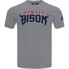 Pro Standard Mens Pro Standard Mens College Classic Chenille Short Sleeve Tee(Gray)