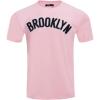 Pro Standard NBA Mens Mens NBA Classic Chenille Cotton Single Jersey Short Sleeve Tee(Pink)