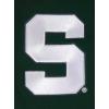 Pro Standard Mens College Classic Chenille Cotton Double Knit Pull Over Hoodie(Forest Green)