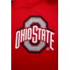 Pro Standard Mens College Classic Chenille Cotton Double Knit Pull Over Hoodie(Red)