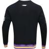 Pro Standard Mens NBA Reverse French Terry Pull Over Hoodie(Black/Purple)