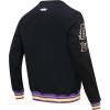 Pro Standard Mens NBA Reverse French Terry Pull Over Hoodie(Black/Purple)