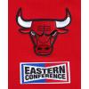 Pro Standard Mens NBA Reverse French Terry Pull Over Hoodie(Red)