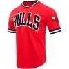 Pro Standard NBA Mens Mens NBA Classic Chenille Cotton Double Knit Short Sleeve Tee(Primary Team Color)