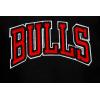 Pro Standard NBA boys Pro Standard Big Boys Nba Classic Chenille Wool Varsity Jacket(Jet Black)