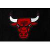 Pro Standard NBA boys Pro Standard Big Boys Nba Classic Chenille Wool Varsity Jacket(Jet Black)