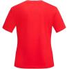 Pro Standard NHL Womens Pro Standard Womens NHL Classic Chenille Cotton Short Sleeve Slim Fit Tee(Red)