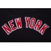 Pro Standard NHL Womens Pro Standard Womens NHL Classic Chenille Short Sleeve Boxy Tee(Black)
