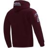 Pro Standard NHL mens Mens Nhl Classic Chenille Cotton Double Knit Pull Over Hoodie(Team Color)