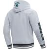 Pro Standard mens Mens College Classic Chenille Brushed Back French Terry Pull Over Hoodie(Heather Gray/Black)