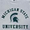 Pro Standard mens Mens College Classic Chenille Brushed Back French Terry Pull Over Hoodie(Heather Gray/Black)