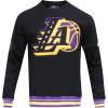 Pro Standard Mens NBA Reverse French Terry Pull Over Hoodie(Black/Purple)