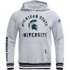 Pro Standard mens Mens College Classic Chenille Brushed Back French Terry Pull Over Hoodie(Heather Gray/Black)