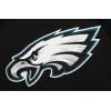 Pro Standard Mens NFL Classic Satin Pull Over Hoodie(Black)