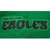 Pro Standard Mens NFL Old English Brushed Back French Terry Pull Over Hoodie(Kelly Green)