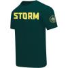 Pro Standard WNBA Mens Mens WNBA Classic Chenille Cotton Short Sleeve Tee(Forest Green)