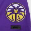 Pro Standard WNBA Mens Mens WNBA Classic Chenille Cotton Short Sleeve Tee(Purple)