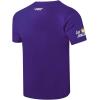 Pro Standard WNBA Mens Mens WNBA Classic Chenille Cotton Short Sleeve Tee(Purple)