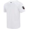Mens College University of South Carolina College Classic Chenille Short Sleeve Tee White L