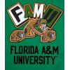Pro Standard Men’s College Campus Ransom Standard Short Sleeve Tee(Kelly Green)