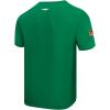 Pro Standard Men’s College Campus Ransom Standard Short Sleeve Tee(Kelly Green)