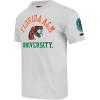 Pro Standard Mens College Classic Chenille Stacked Logo Short Sleeve Tee(Heather Grey)