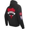 Pro Standard NBA mens Mens Nba Best of Fleece Pull Over Hoodie(Black)