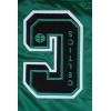 Pro Standard NBA mens Mens Nba Sublimated Satin Jacket(Kelly Green)