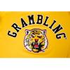 Pro Standard NCAA mens Mens College Classic Chenille Satin Jacket(Yellow)
