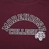 Pro Standard NCAA womens Womens College Classic Essentials Brushed Back French Terry Crewneck Sweatshirt(Wine)