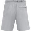 Pro Standard Mens College Classic Chenille Brushed Back French Terry Fleece Short(Heather Grey)