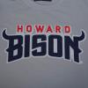 Pro Standard Mens Mens College College Classic Chenille Cotton Single Short Sleeve Tee(White)
