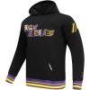 Pro Standard Mens NBA City Ransom Pull Over Hoodie(Black/Purple)