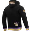 Pro Standard Mens NBA City Ransom Pull Over Hoodie(Black/Purple)